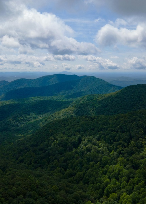 Local Expertise. Full-Service Management.